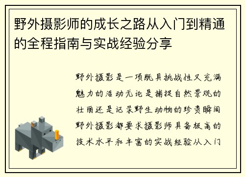 野外摄影师的成长之路从入门到精通的全程指南与实战经验分享